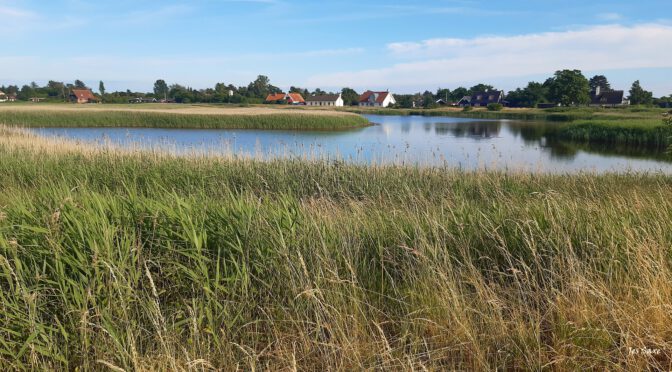 Lungshave – Enoe by Summertime Photo