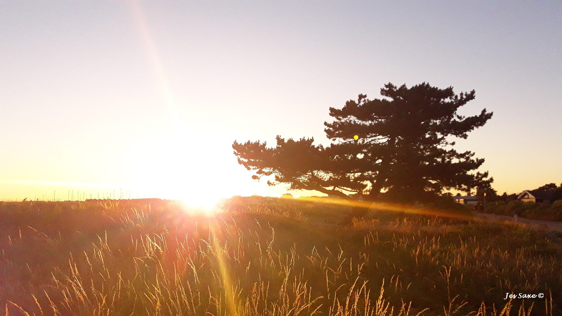 12 ways to navigate in the nature without use of compass or GPS and find directions