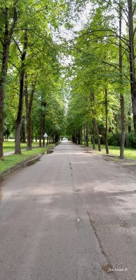 Long bumpy avenue from the main road leads to the beautiful Spilve Airfield