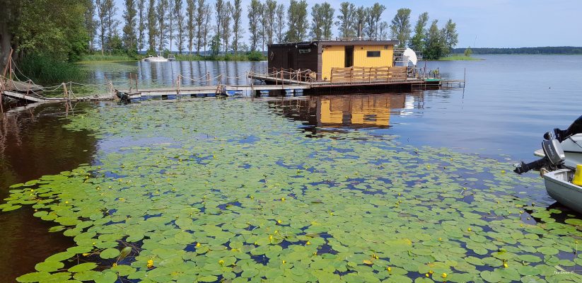 Floating houses in Riga are common and cosy, if you like mosquitoes 