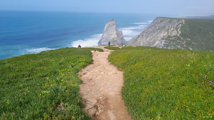 Worlds End, have a swim for America