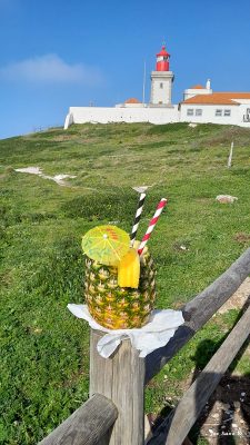 Exclusive view with tourist Piña Colada,alcofree